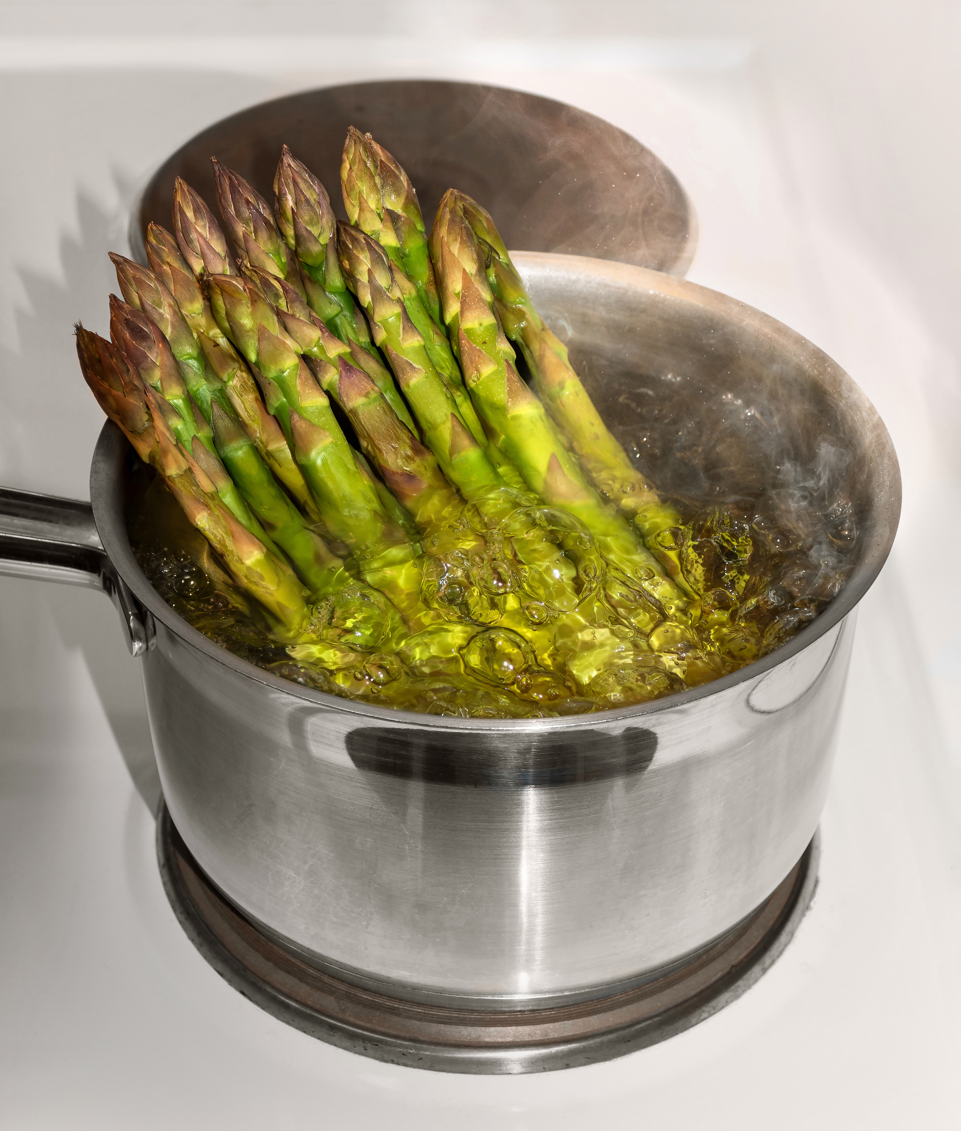 Asparagus officinalis — reference photo