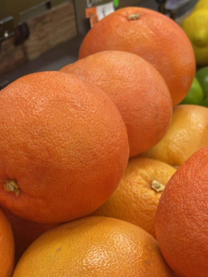 Citrus maxima — reference photo